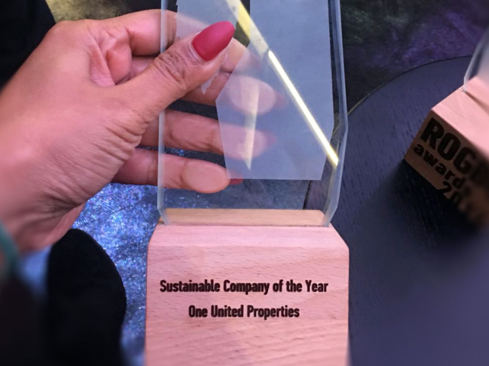 One United Properties awarded by RoGBC – Green Awards: ”Sustainable Company of the Year 2017”