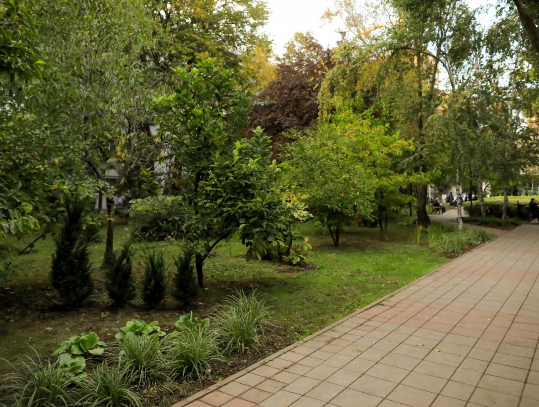 One United Properties and Auchan Romania have invested 178,000 EUR in Automatica park, near One Floreasca City