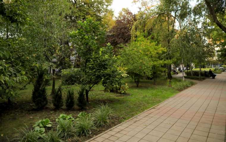 One United Properties and Auchan Romania have invested 178,000 EUR in Automatica park, near One Floreasca City