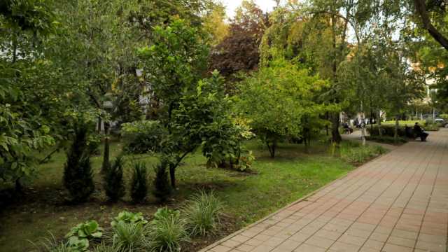 One United Properties and Auchan Romania have invested 178,000 EUR in Automatica park, near One Floreasca City