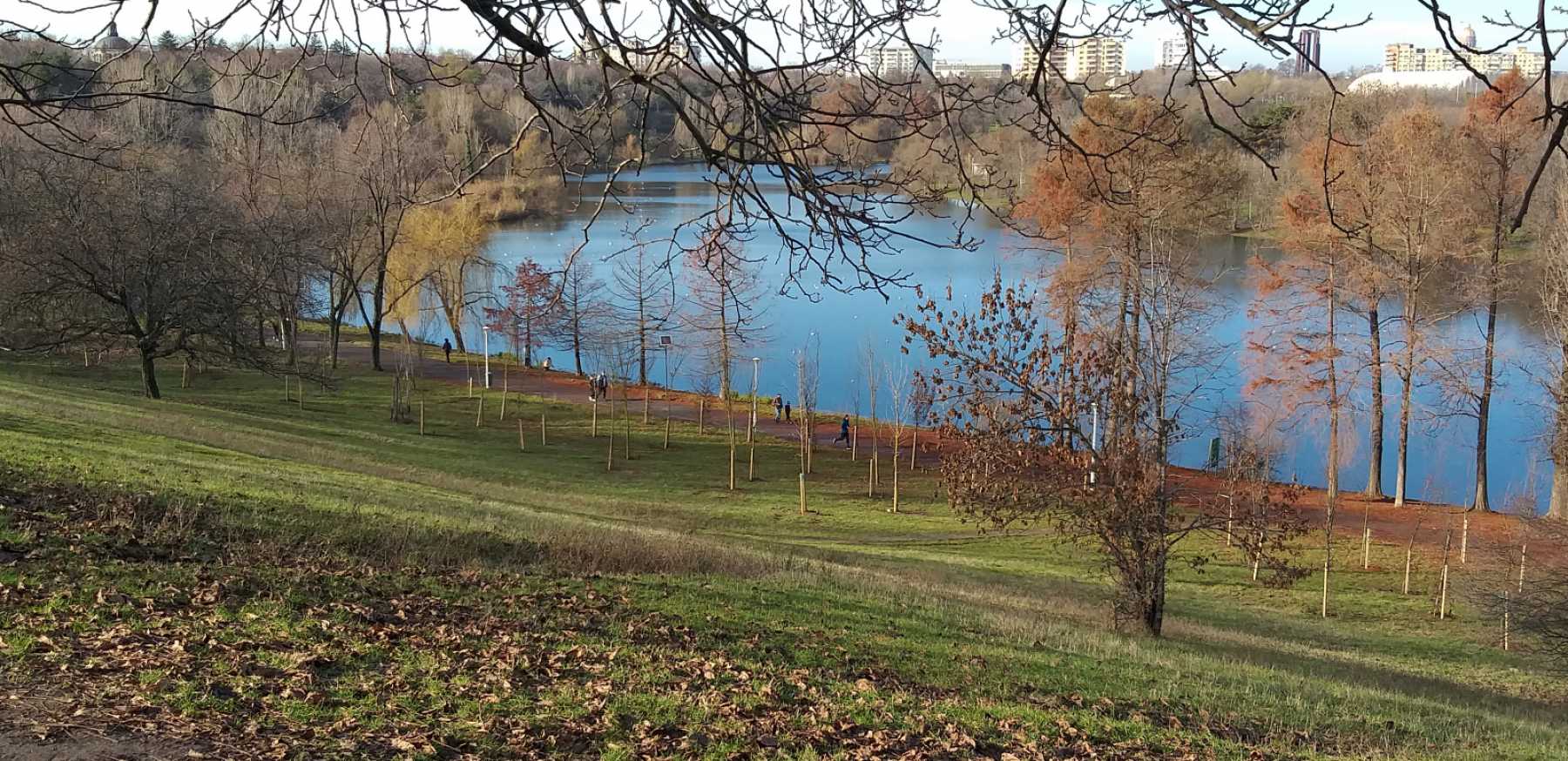 One United Properties supporting green areas in Bucharest