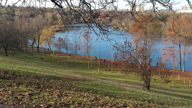 One United Properties supporting green areas in Bucharest