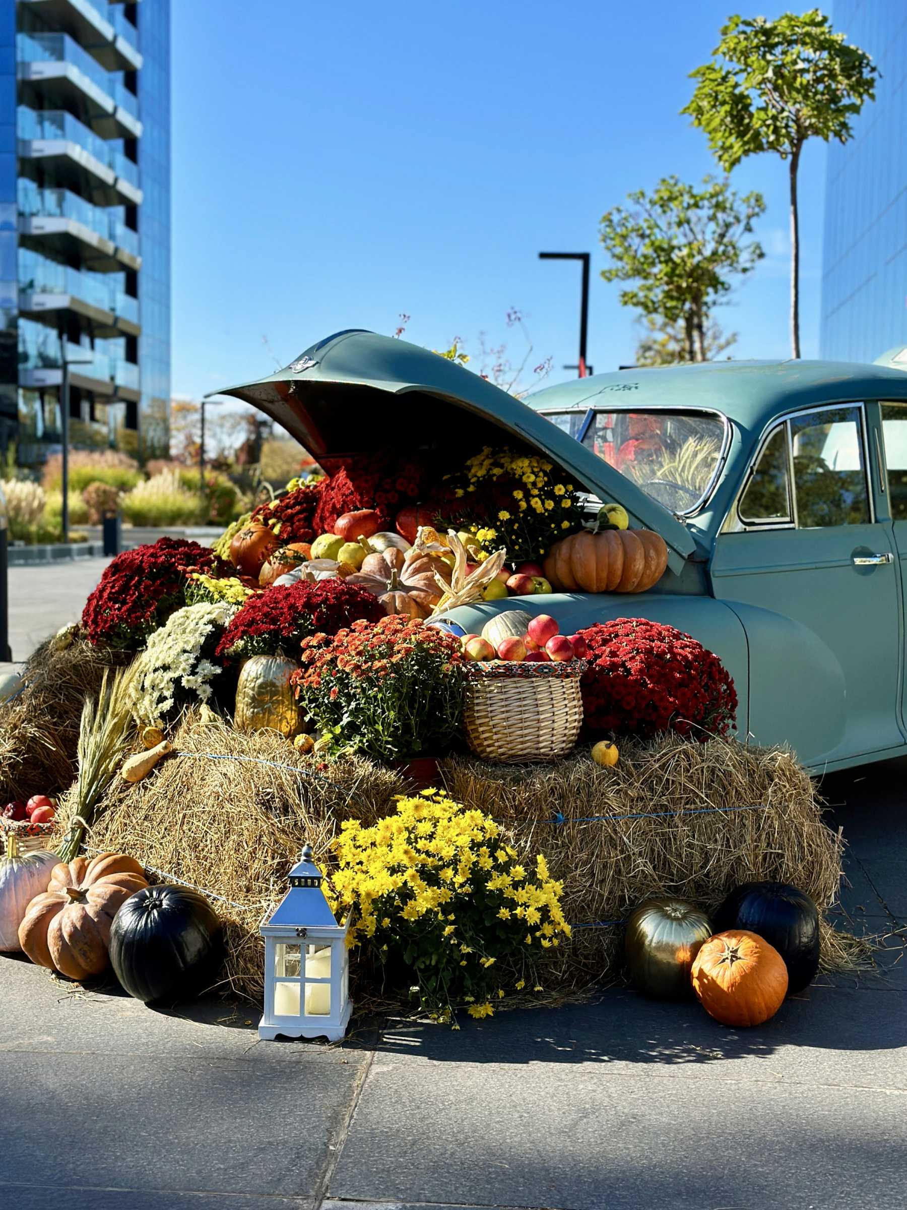 #OneHalloween Magic surrounds One United Properties developments