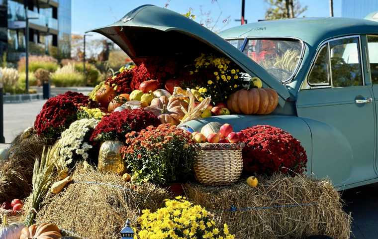 #OneHalloween Magic surrounds One United Properties developments