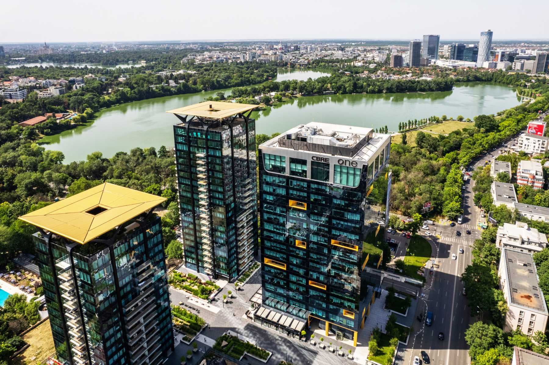 Acționarii One United Properties aprobă distribuirea unui dividend de 77,8 milioane de lei pentru exercițiul financiar aferent anului 2024