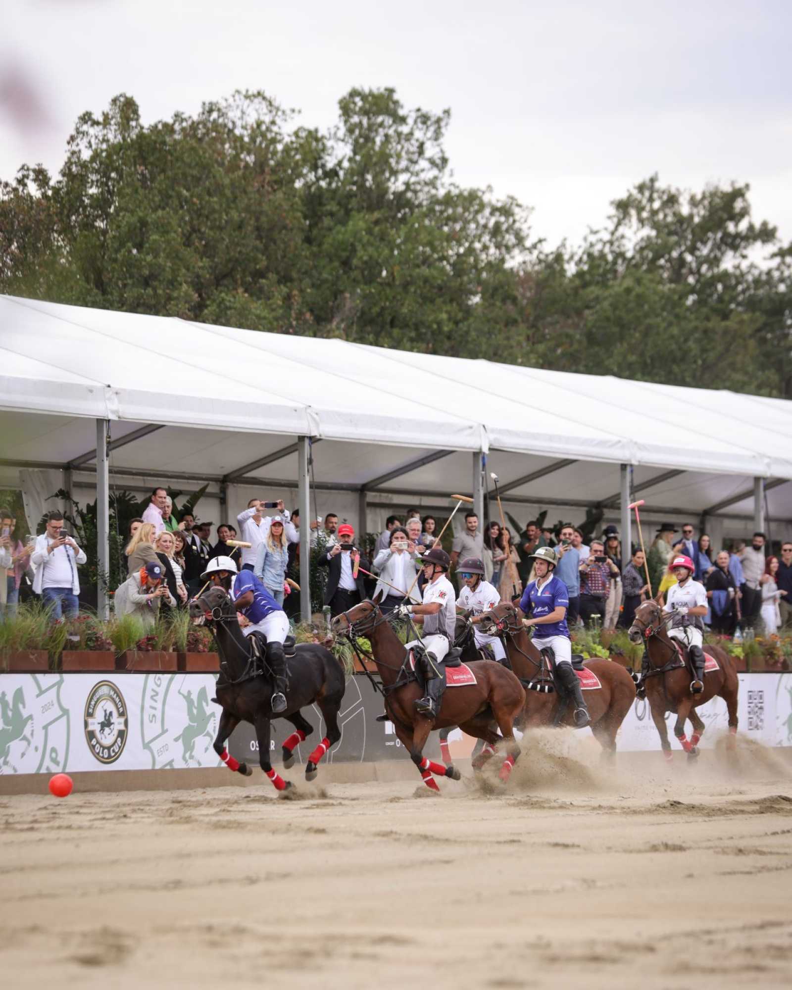 The Title Sponsor of the fabulous Singureni Manor Polo Cup 2024 - Photo 6