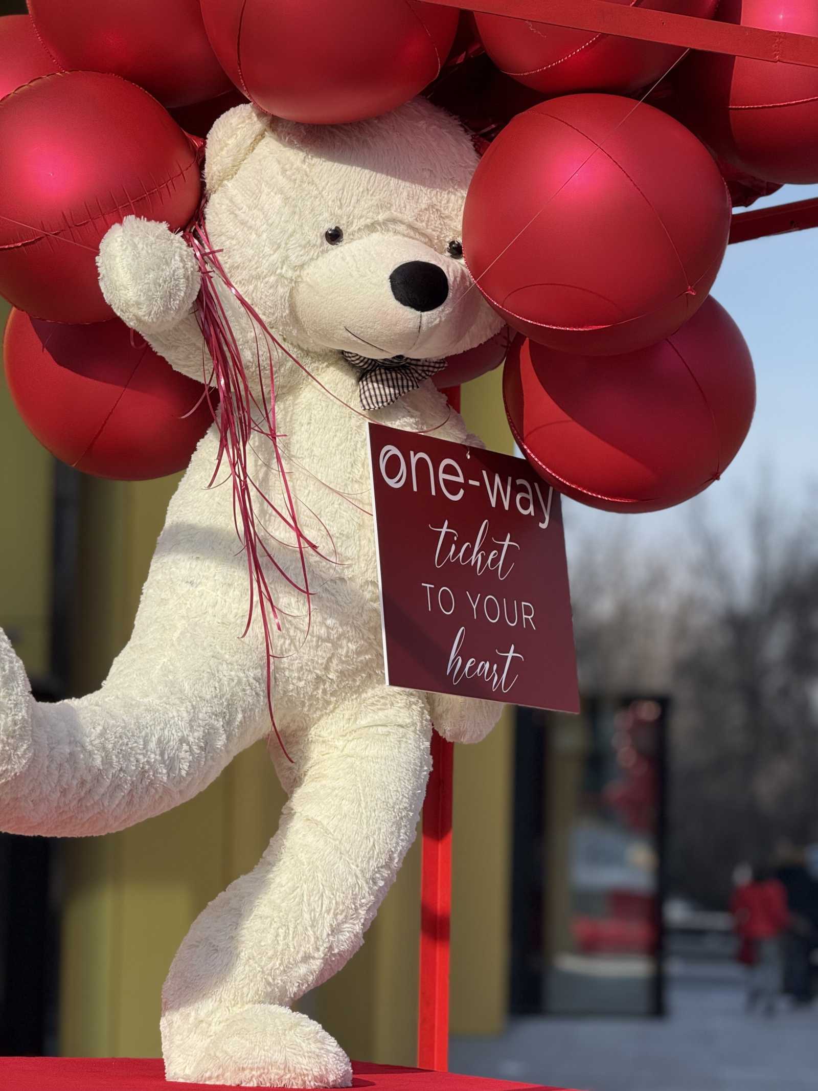 One-way Ticket to Your Heart - Photo 004